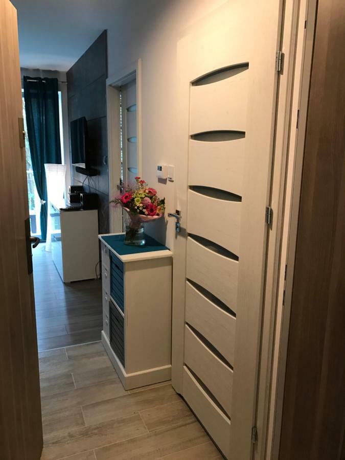 شقة Blue Porta Mare دجيفنوفيك المظهر الخارجي الصورة